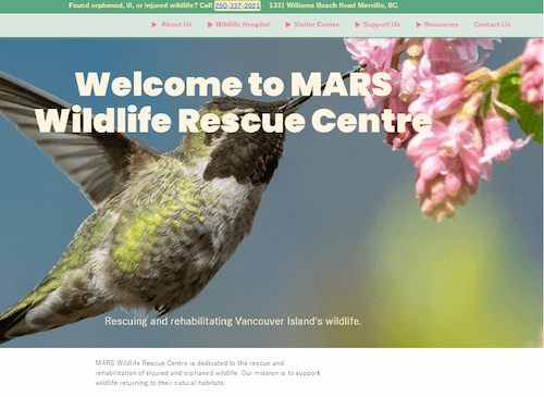 List of course names and thumbnails